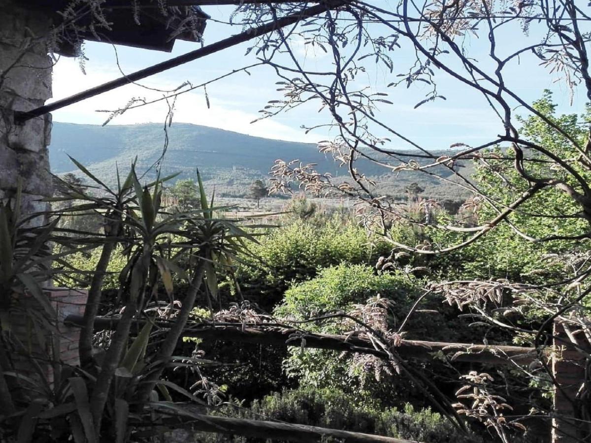 Naturaleza, Confort Y Vistas Inigualable En Casa Rural La Cumbre Gata Eksteriør bilde