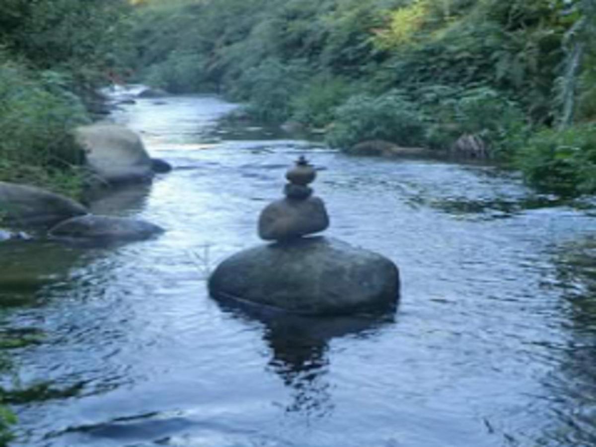 Naturaleza, Confort Y Vistas Inigualable En Casa Rural La Cumbre Gata Eksteriør bilde