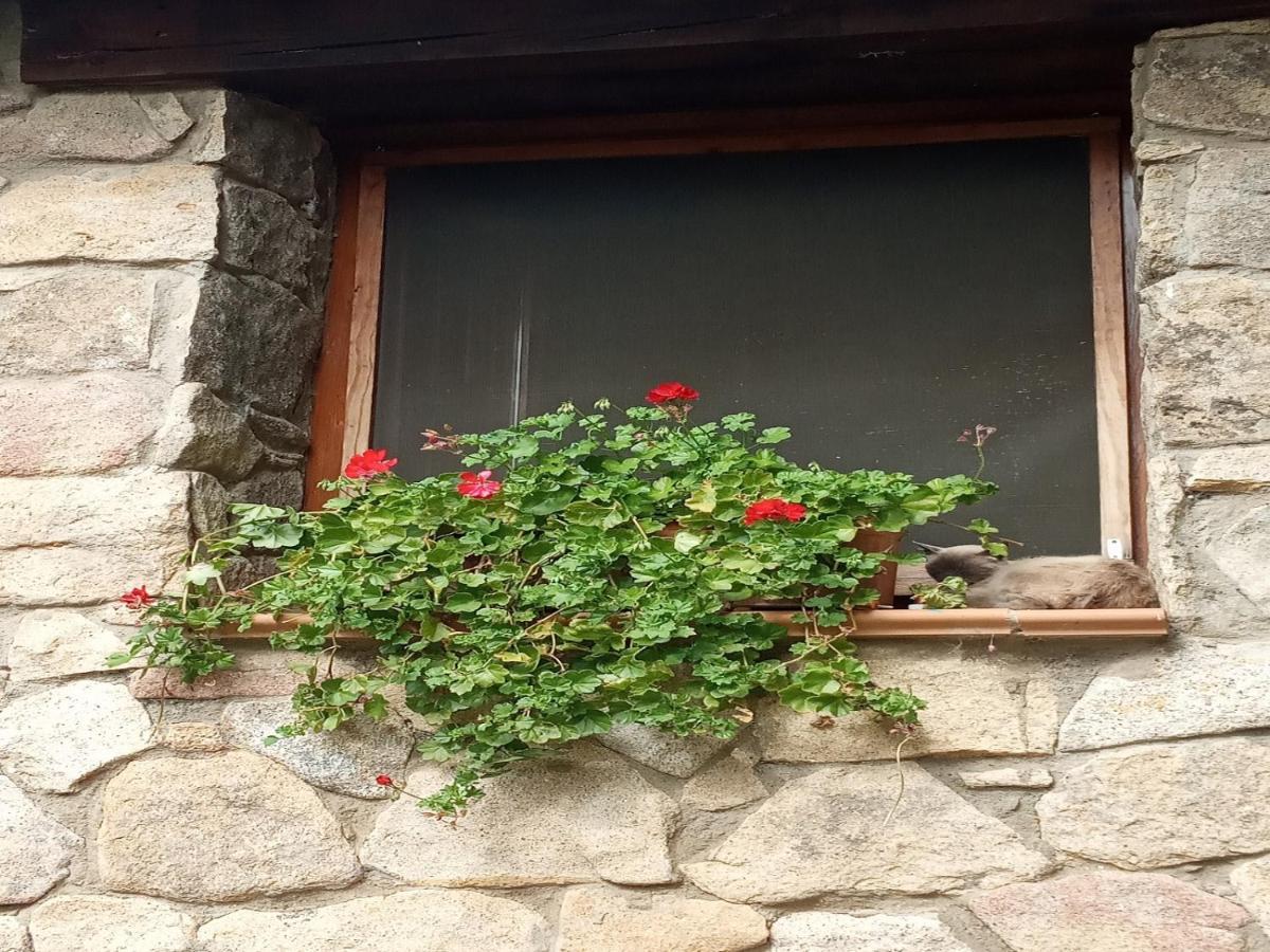 Naturaleza, Confort Y Vistas Inigualable En Casa Rural La Cumbre Gata Eksteriør bilde