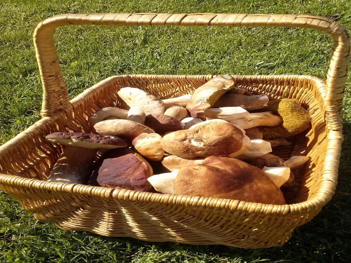 Naturaleza, Confort Y Vistas Inigualable En Casa Rural La Cumbre Gata Eksteriør bilde