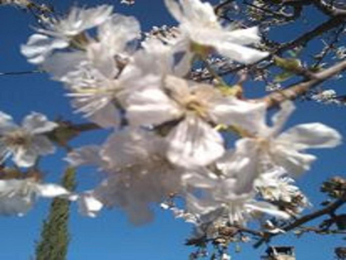 Naturaleza, Confort Y Vistas Inigualable En Casa Rural La Cumbre Gata Eksteriør bilde