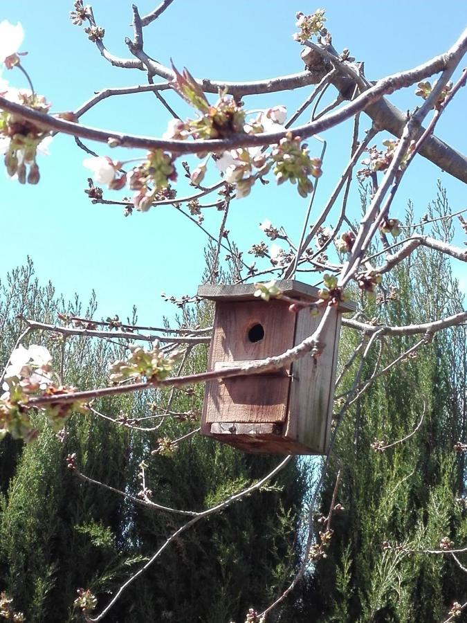 Naturaleza, Confort Y Vistas Inigualable En Casa Rural La Cumbre Gata Eksteriør bilde